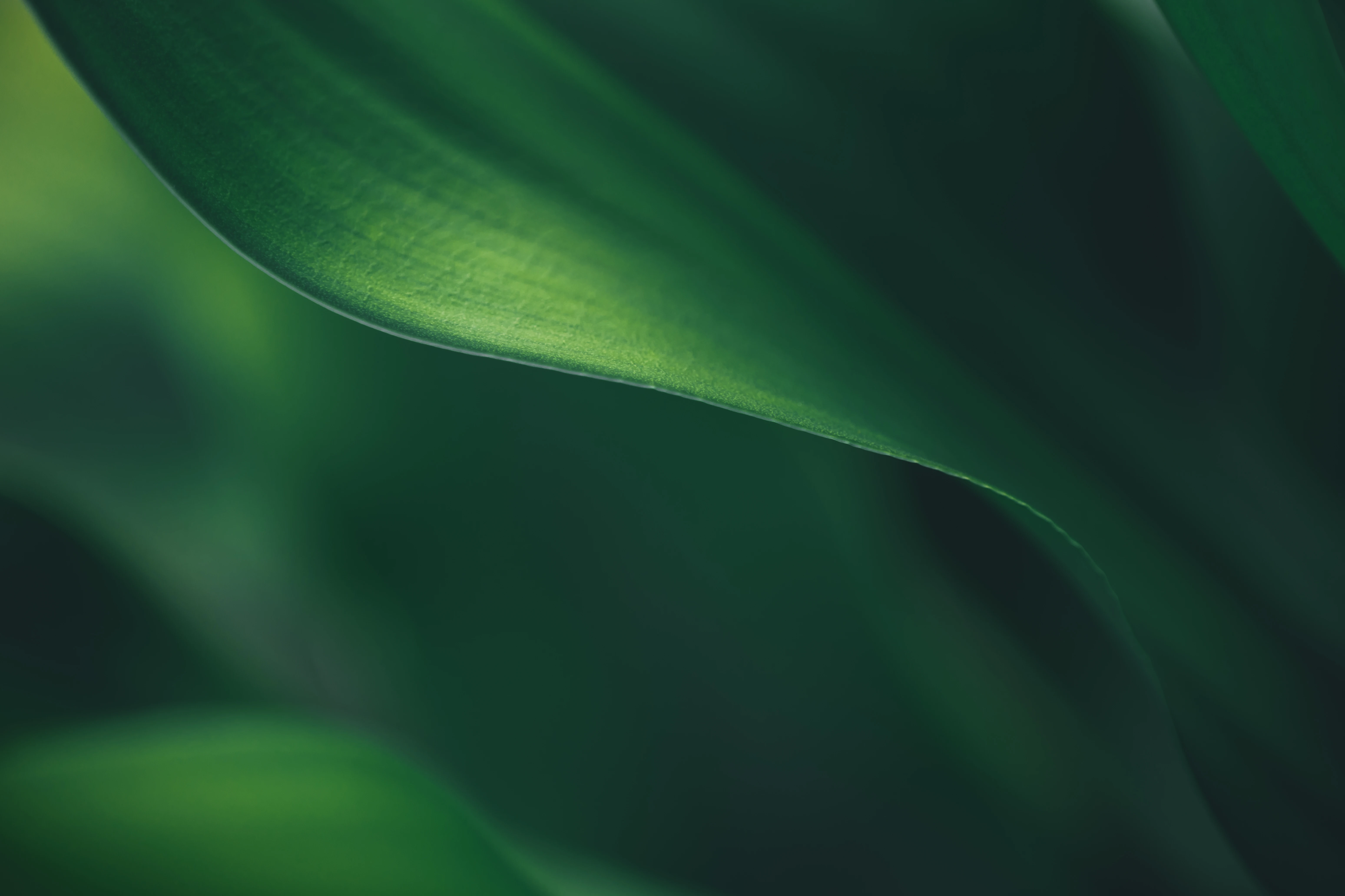 AdobeStock 1686133134