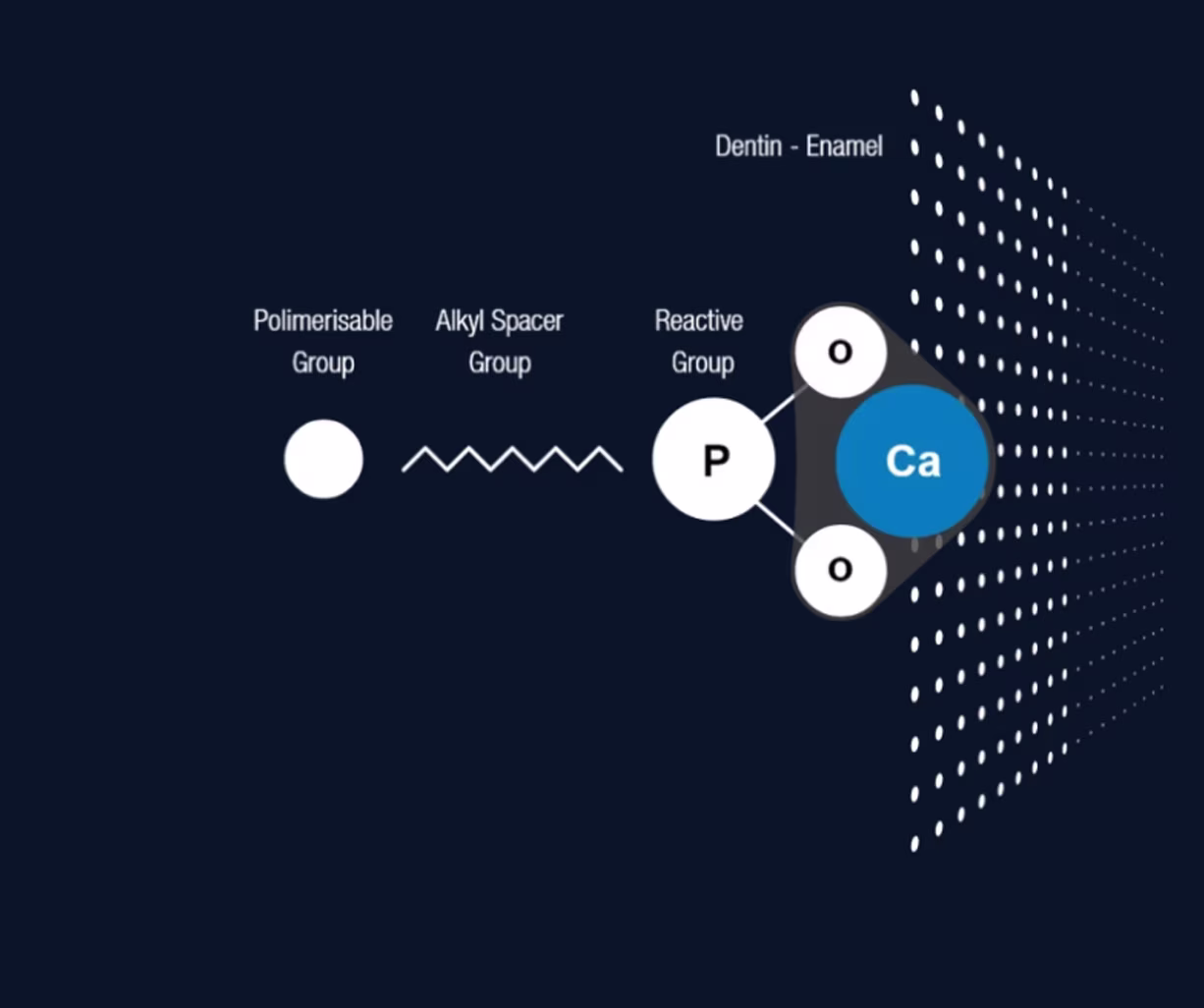 monomer-tech-card-02
