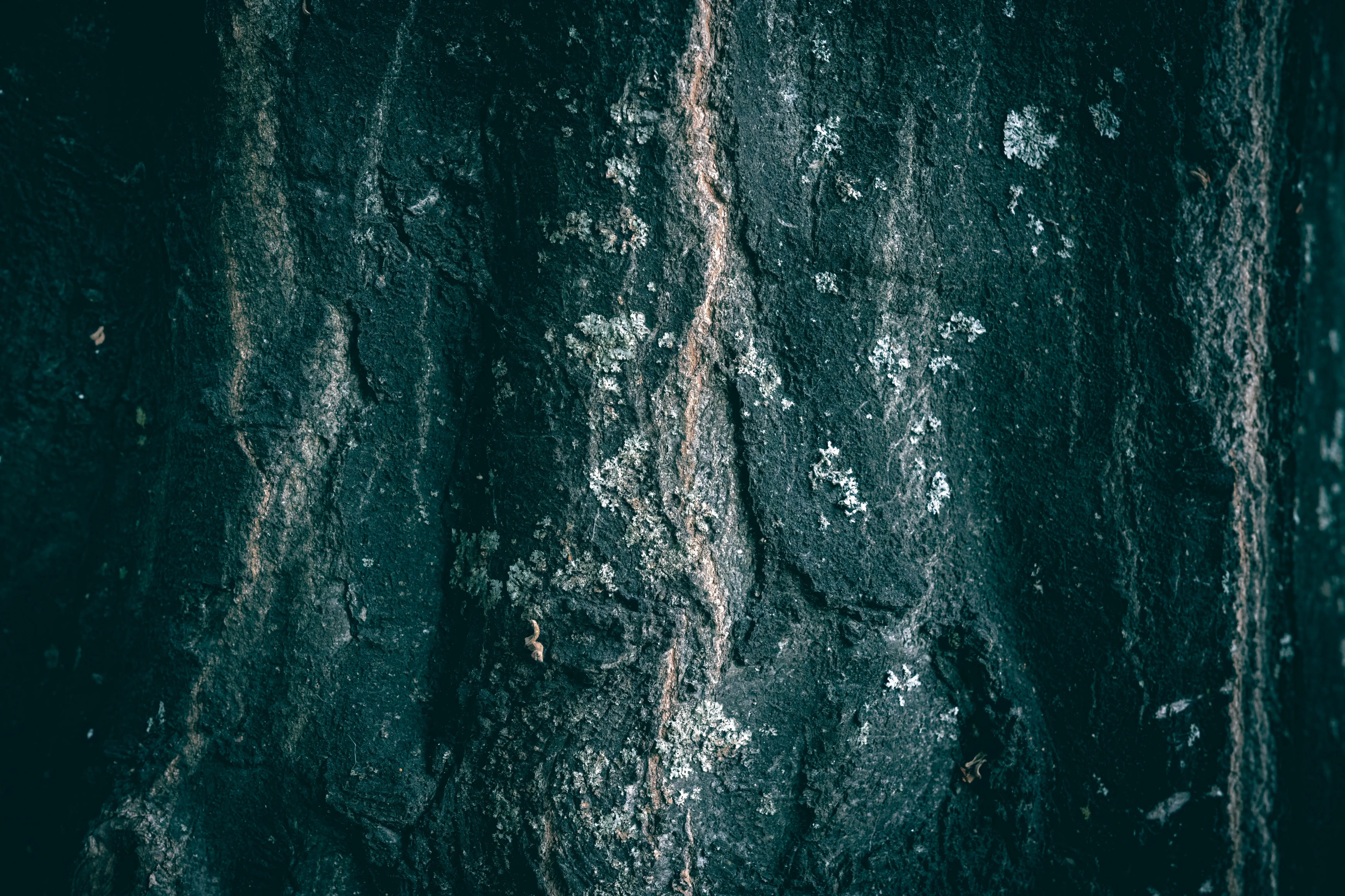 productcta2up image 1